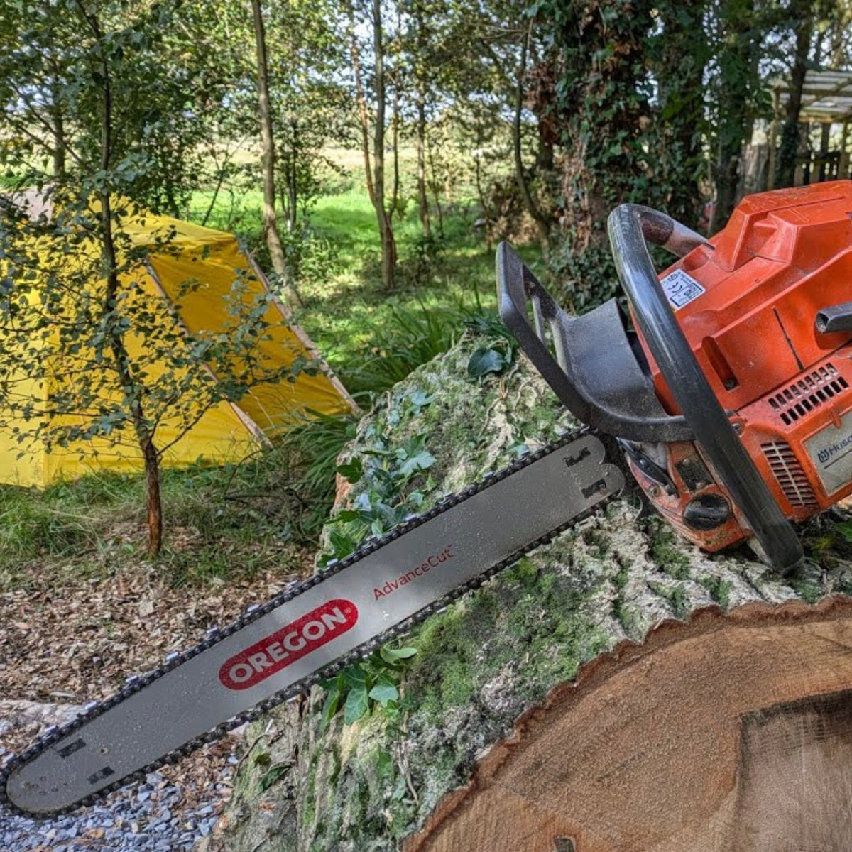Chainsaws